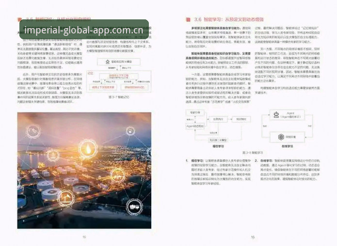 皇家国际操作体验安全吗？2025年行业深度分析与用户体验全面解析